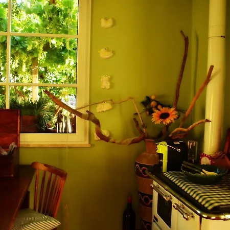 Magnolia *