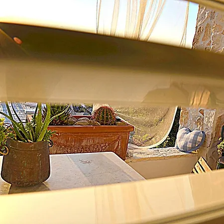 Casa Magnolia * Terricciola
